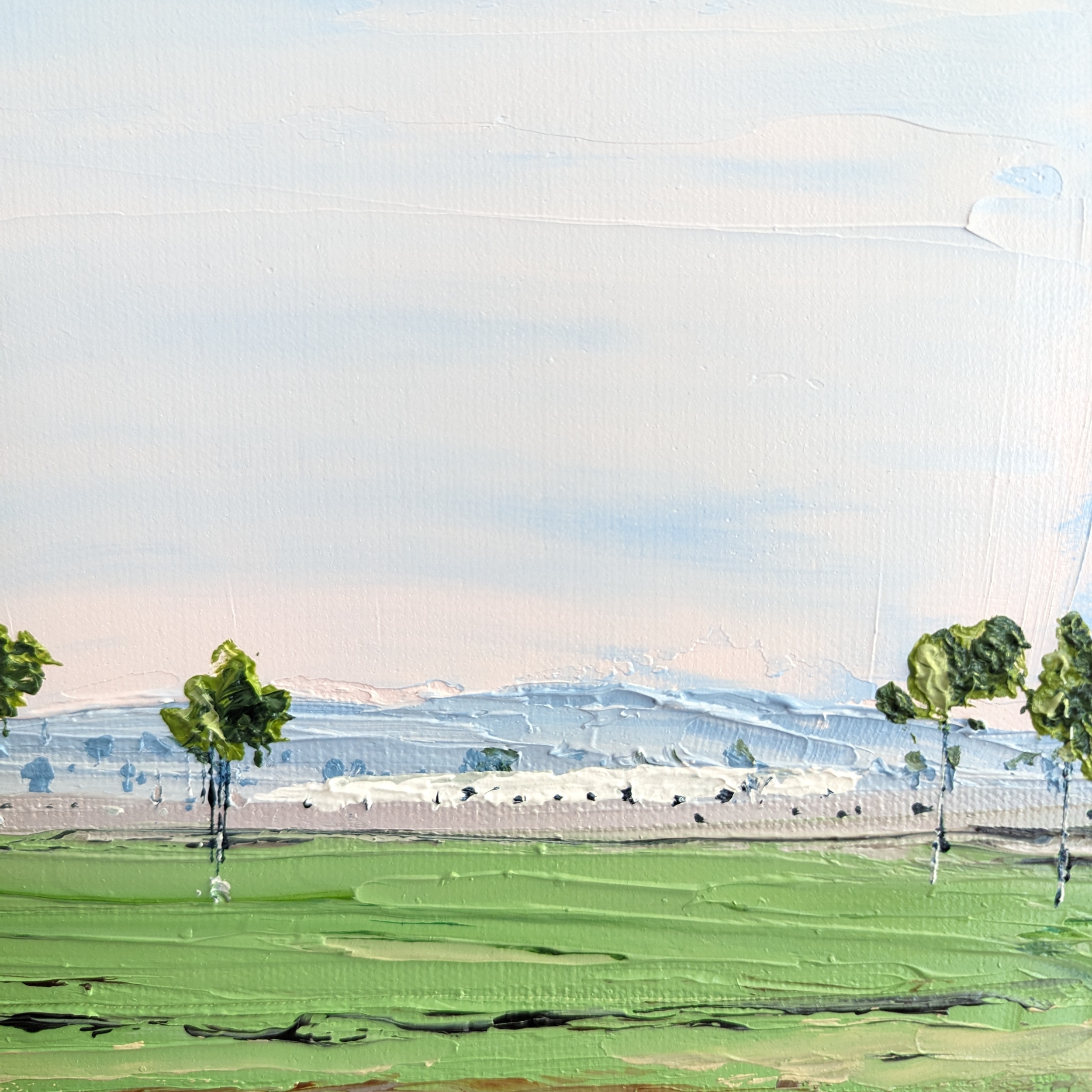 Sam Askin Endless Field Drive By Ala Mountains