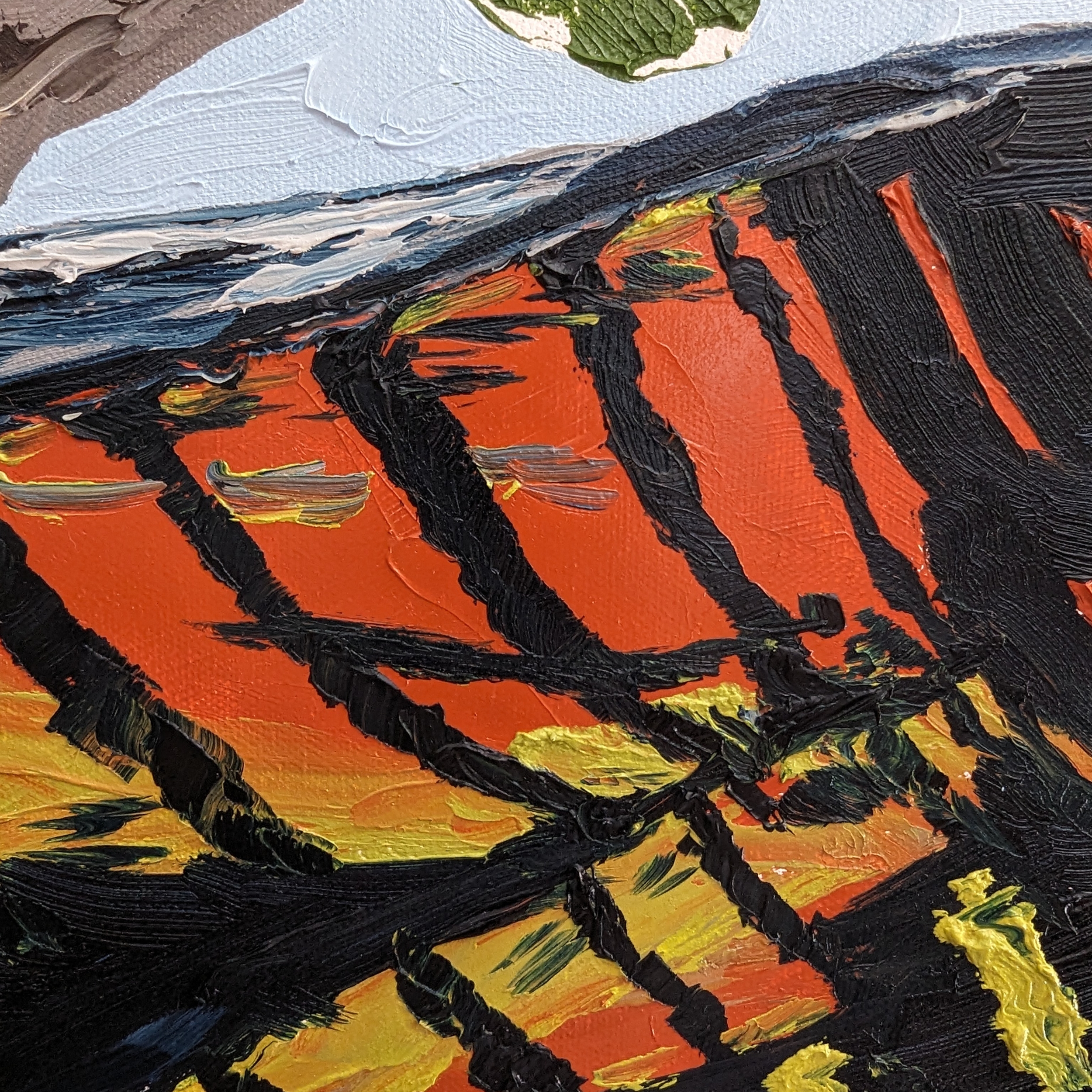 Sam Askin The Extroverted Arborist Black Cockatoo Tail