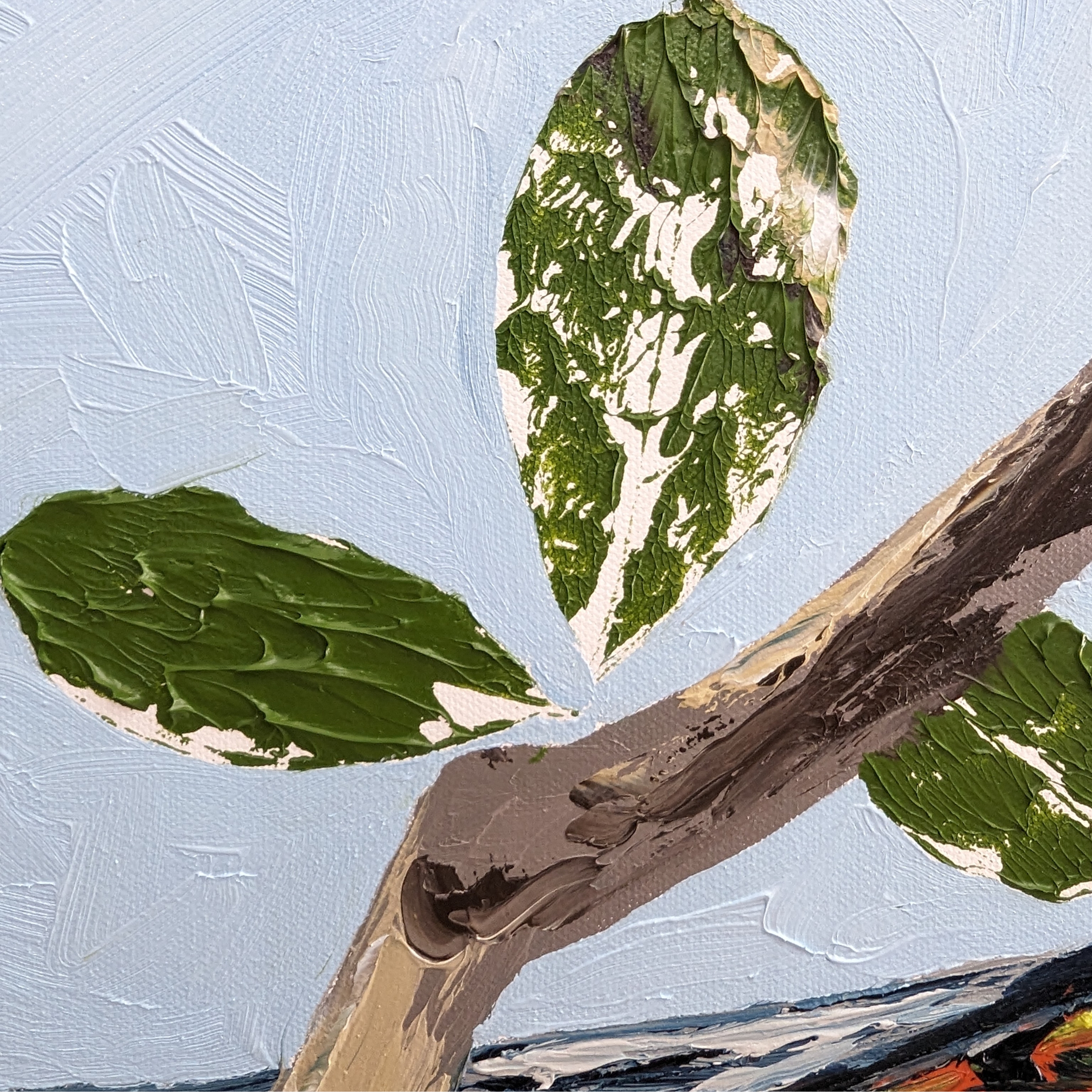 Sam Askin The Extroverted Arborist Leaves