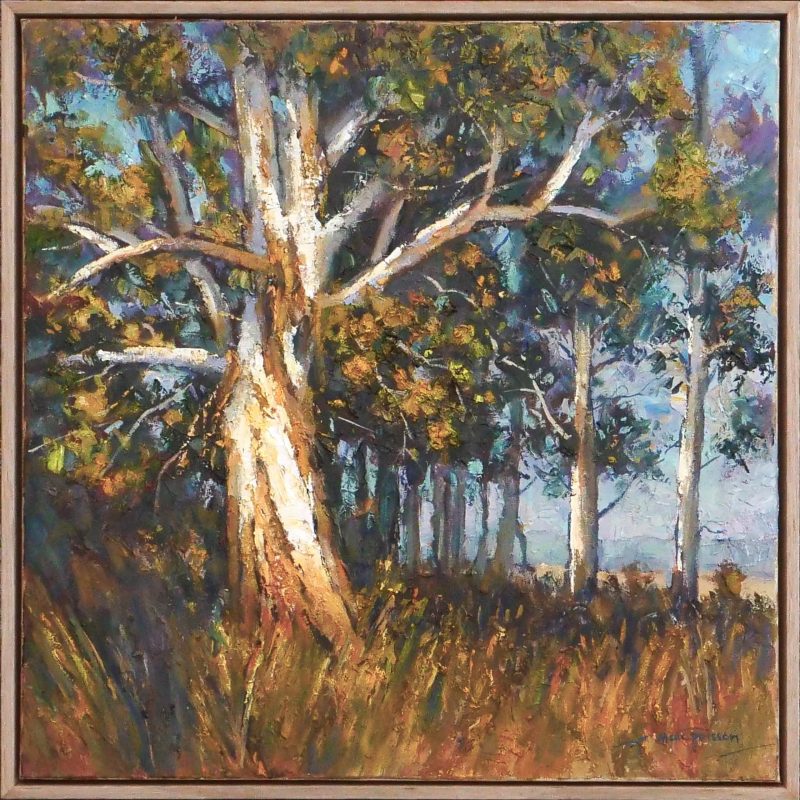 The Old Gum 1202 Gums,Trees, Australian Landscape