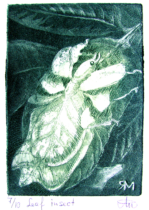 Leaf insect – Ltd Ed Print