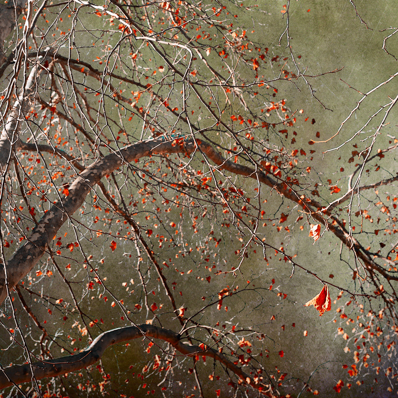 Cloud Of Unknowing Detail