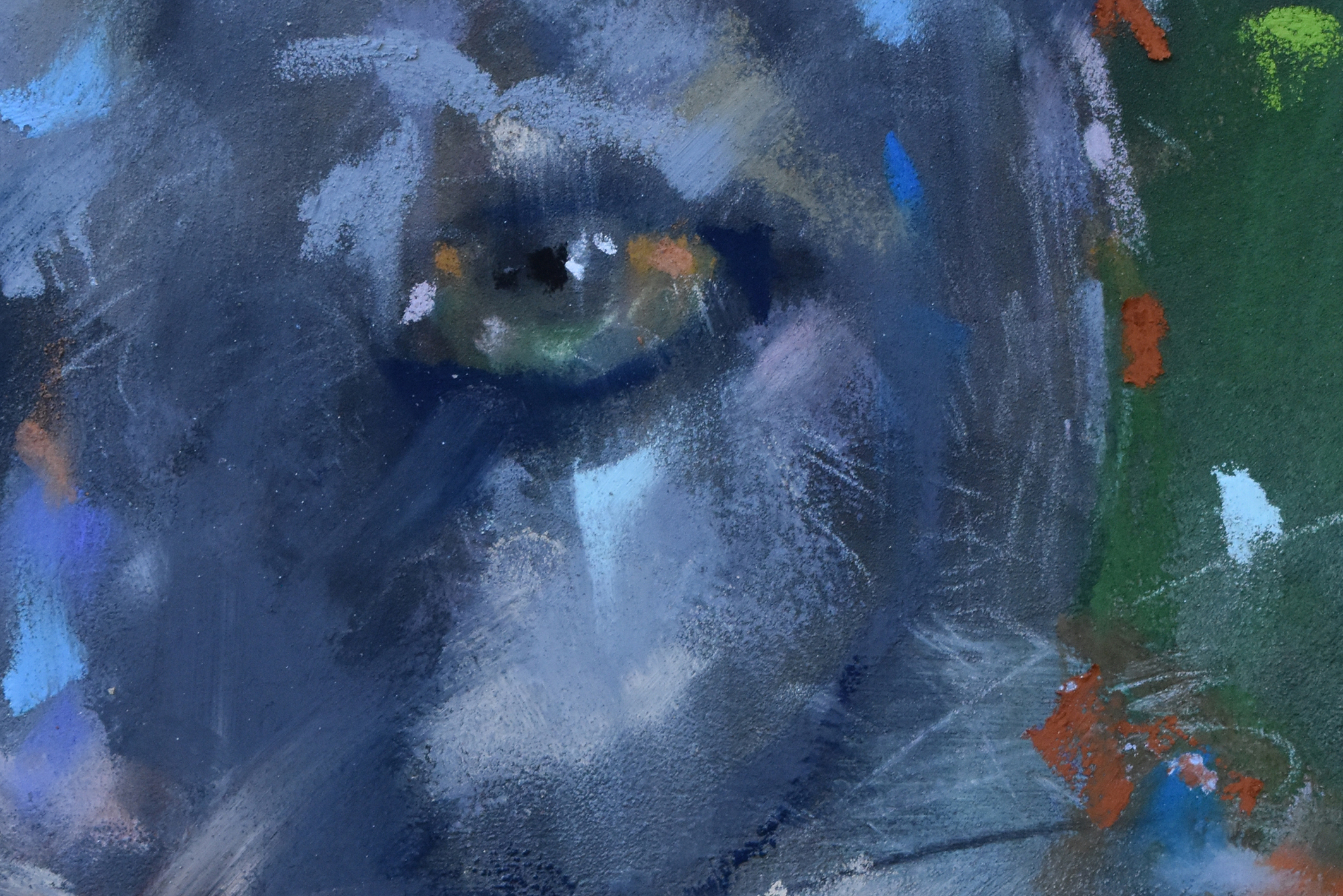 Mountain Lion.detail