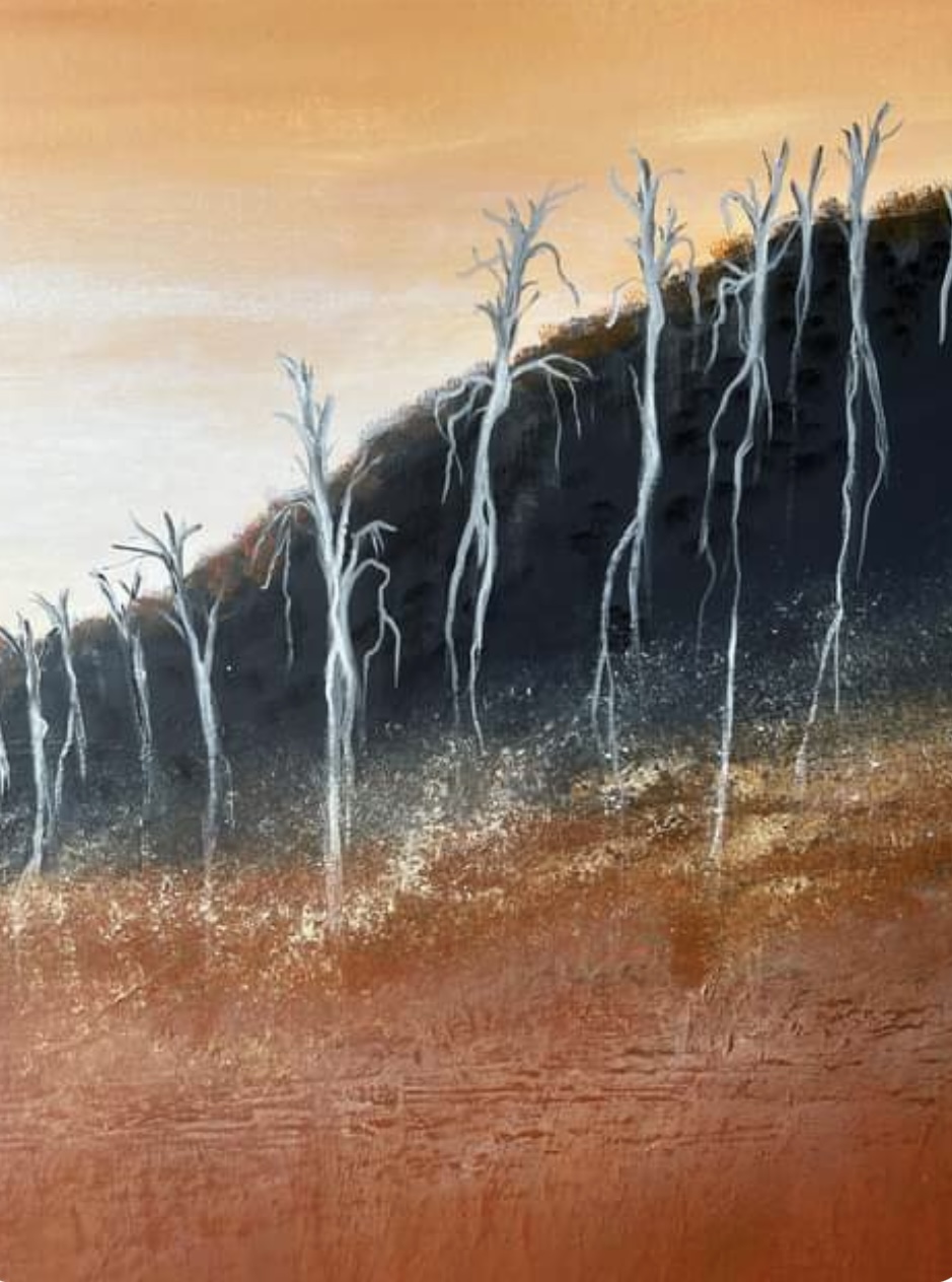 Cc7cc762 39c0 4007 A62b D6929179db62