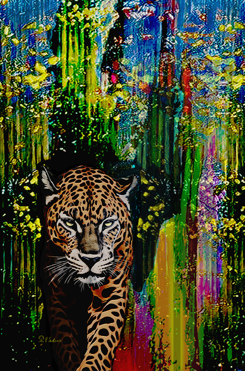 Street Urban Art  collection number 204