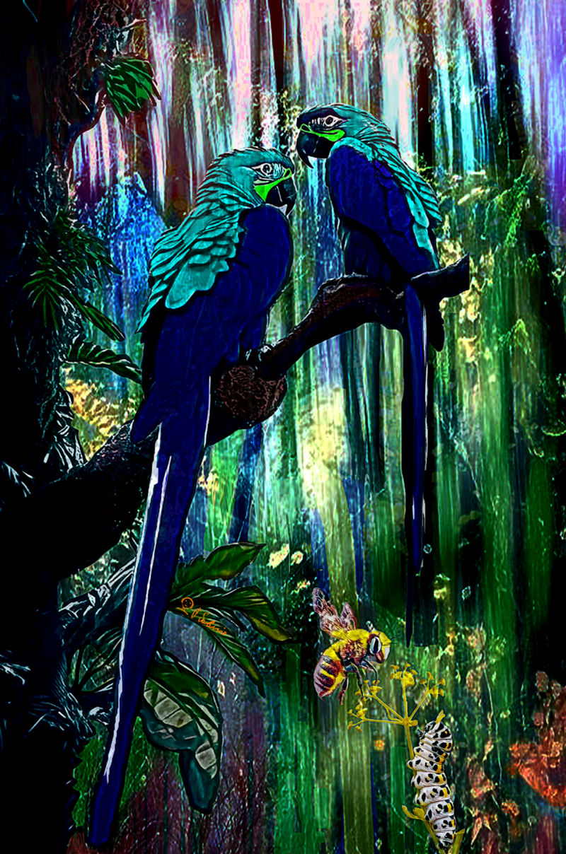 Street Urban Art  collection number 199