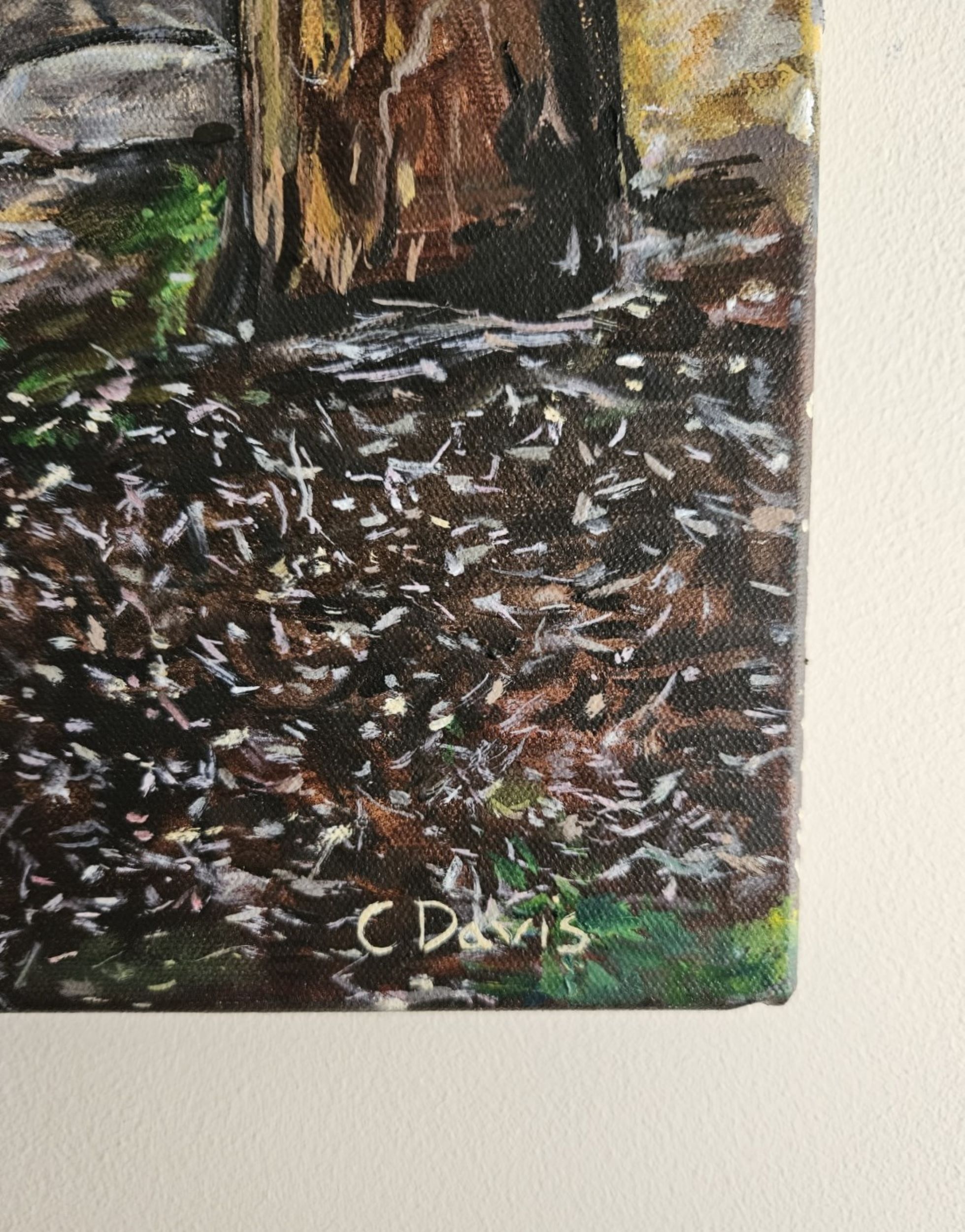 Gums By The Creek Signature 2500