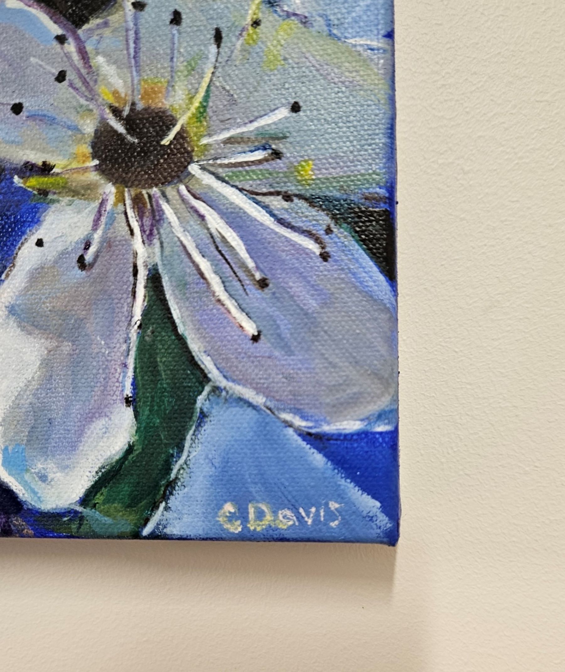 Blossom Signature Bluethumb