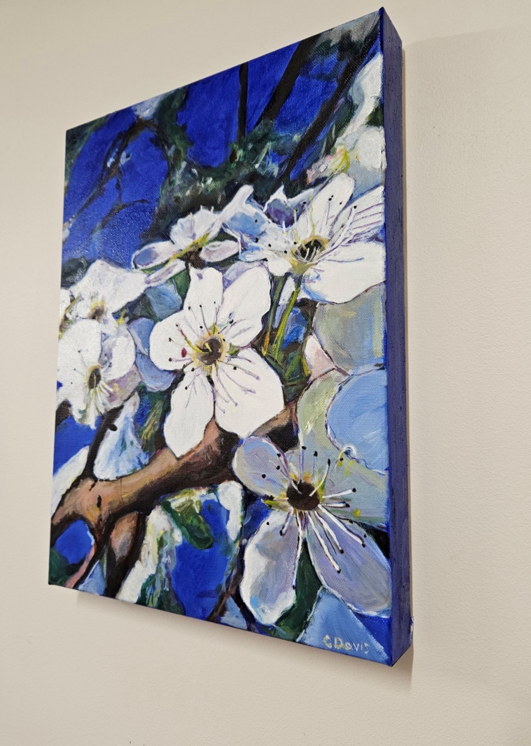 Blossom Edges Bluethumb