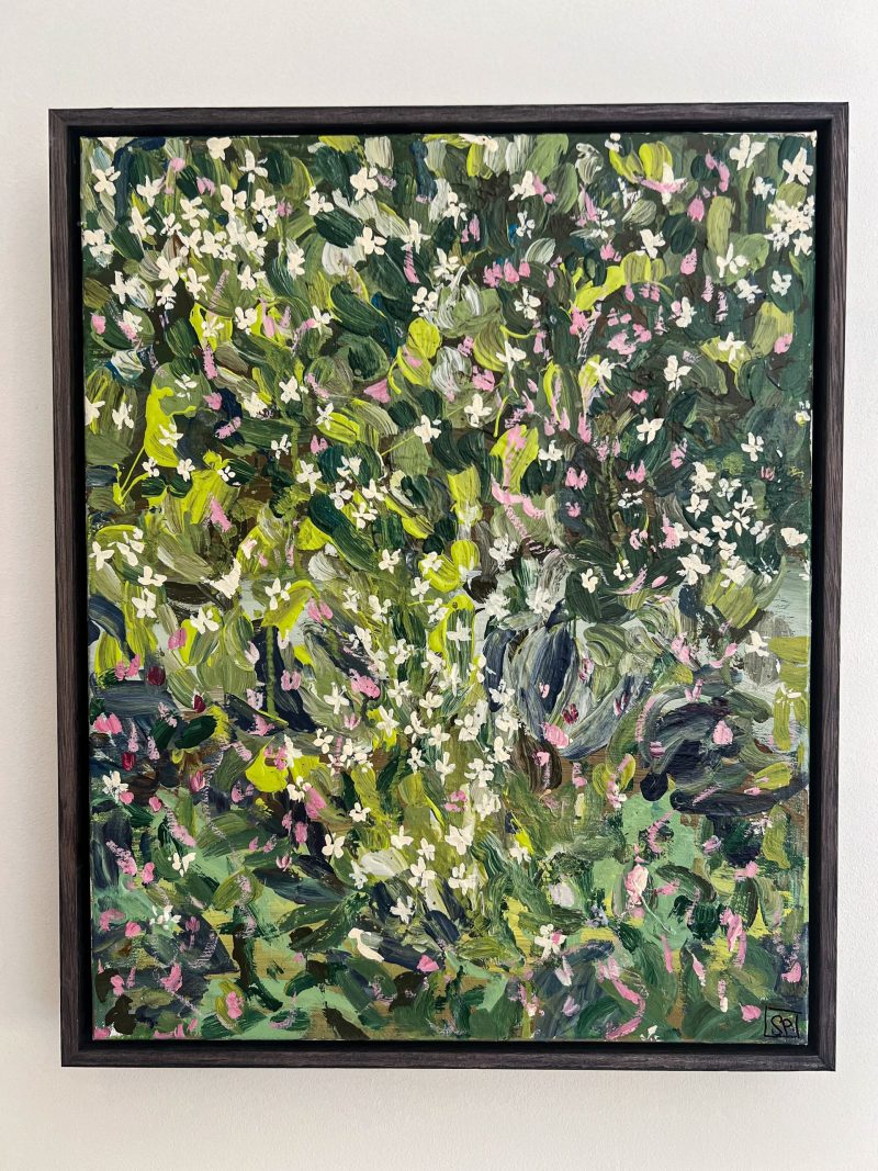 Jasmine Vine at Night