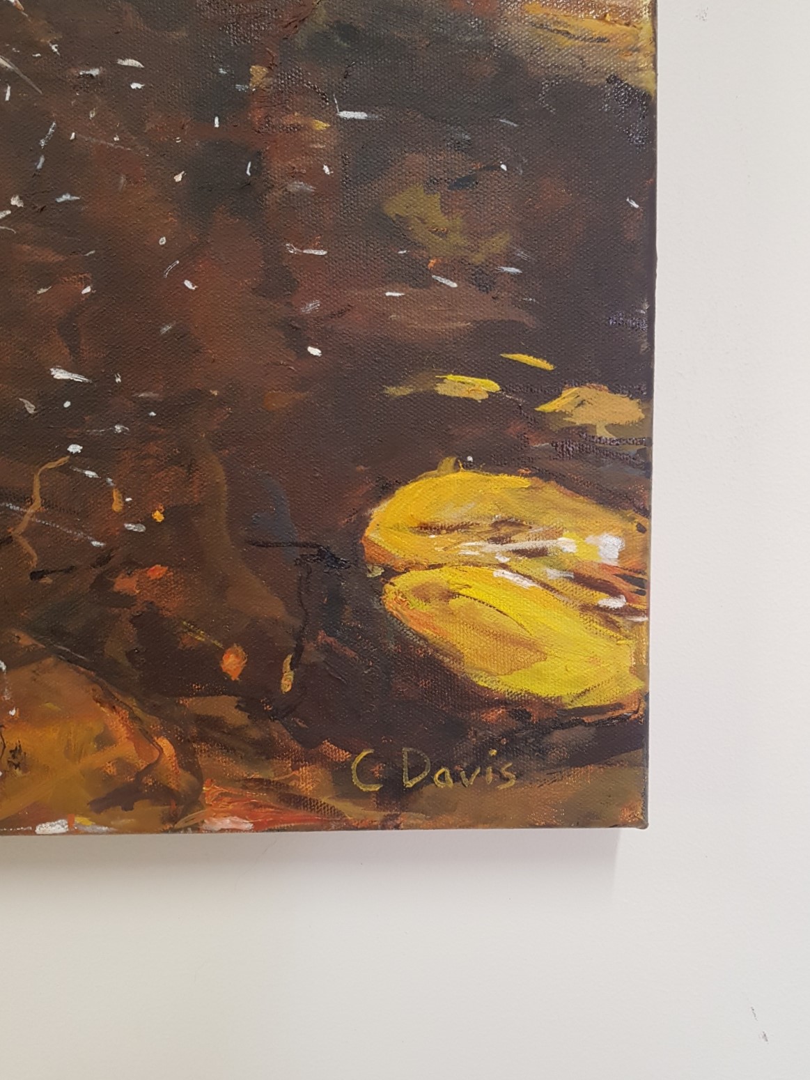 Second Waterfall At Waterfall Gully Signature