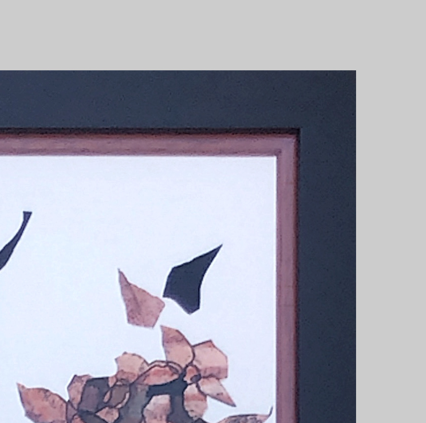 Delicate Balance Closeup Frame Copy