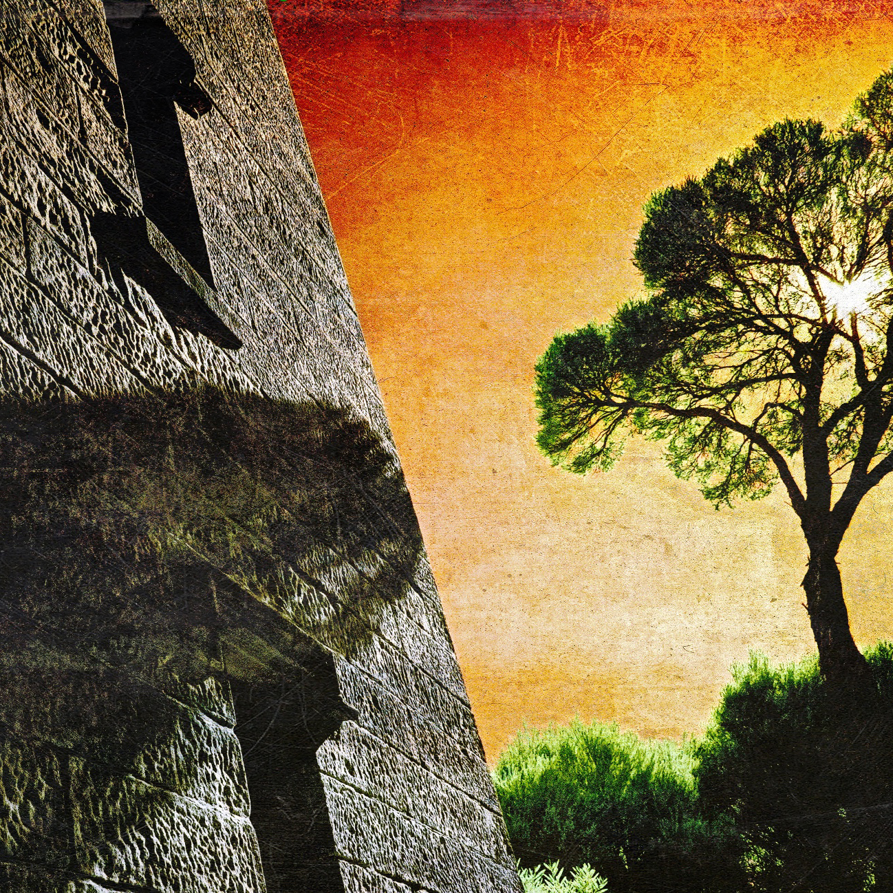 Minatory Forecast Detail