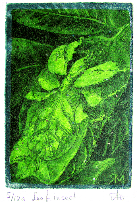 Leaf insect (in green)- Ltd Ed Print