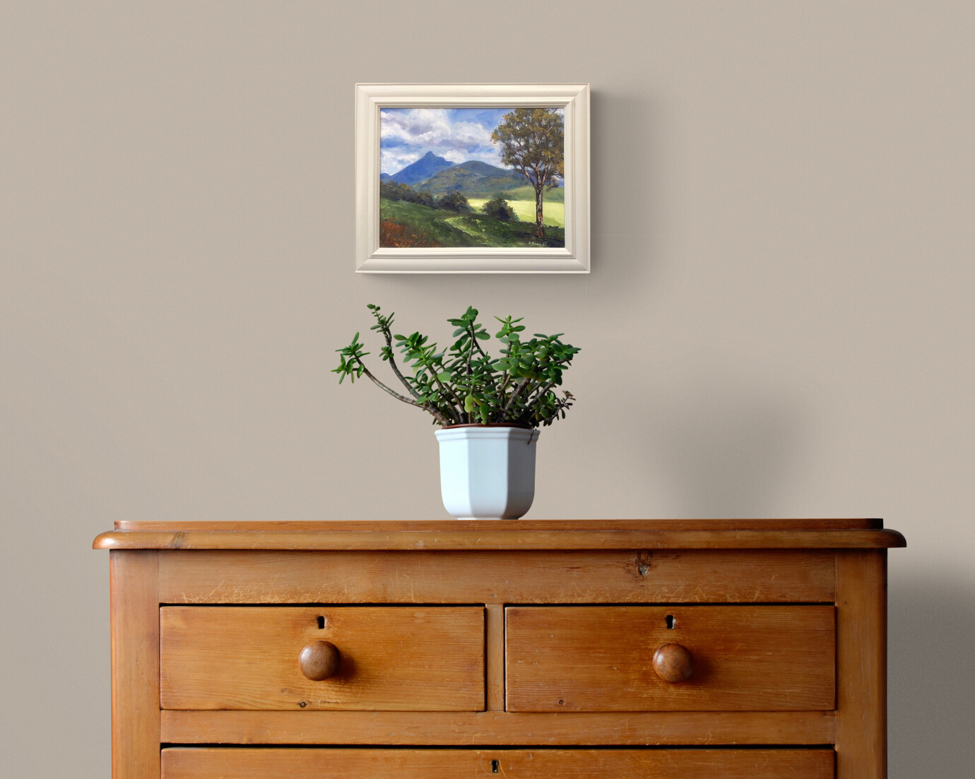 Plant On Wooden Drawers (3)