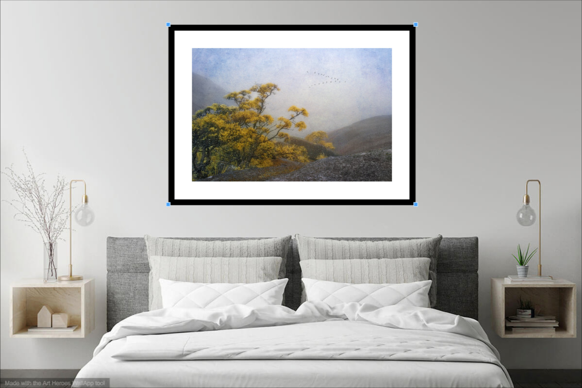 Misty Mountain Top In Situ 1