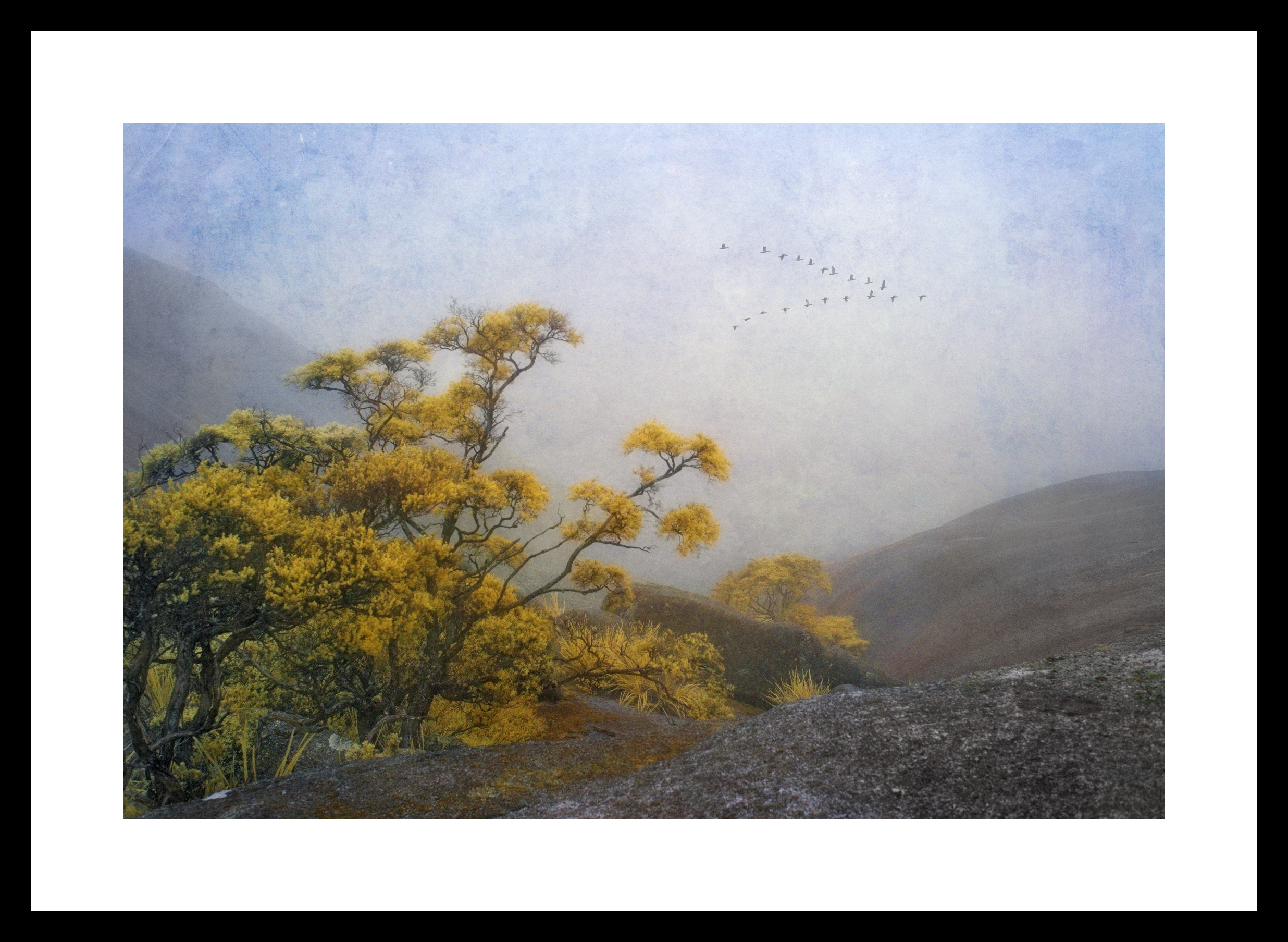 Misty Mountain Top Framed