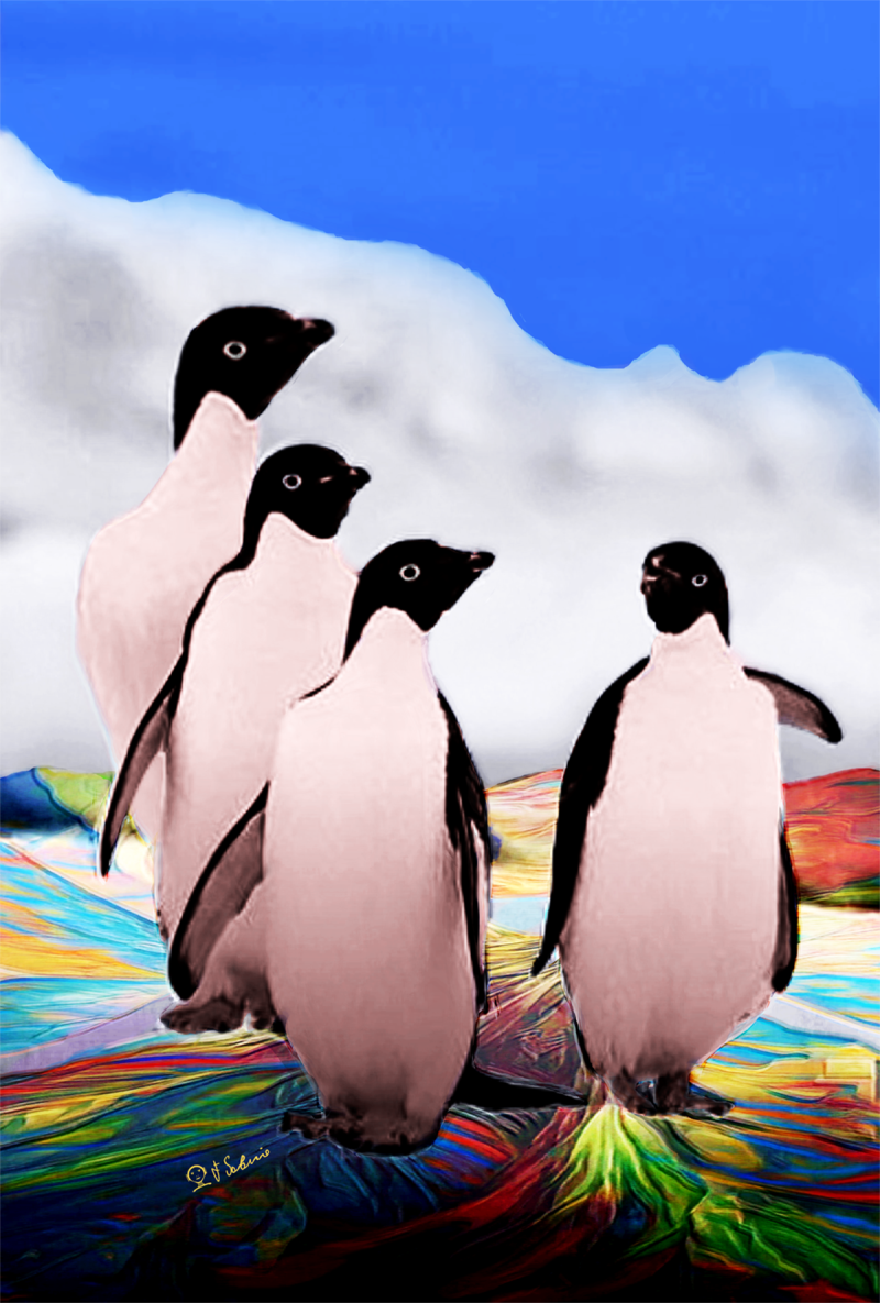 Street Urban Art  collection number 213