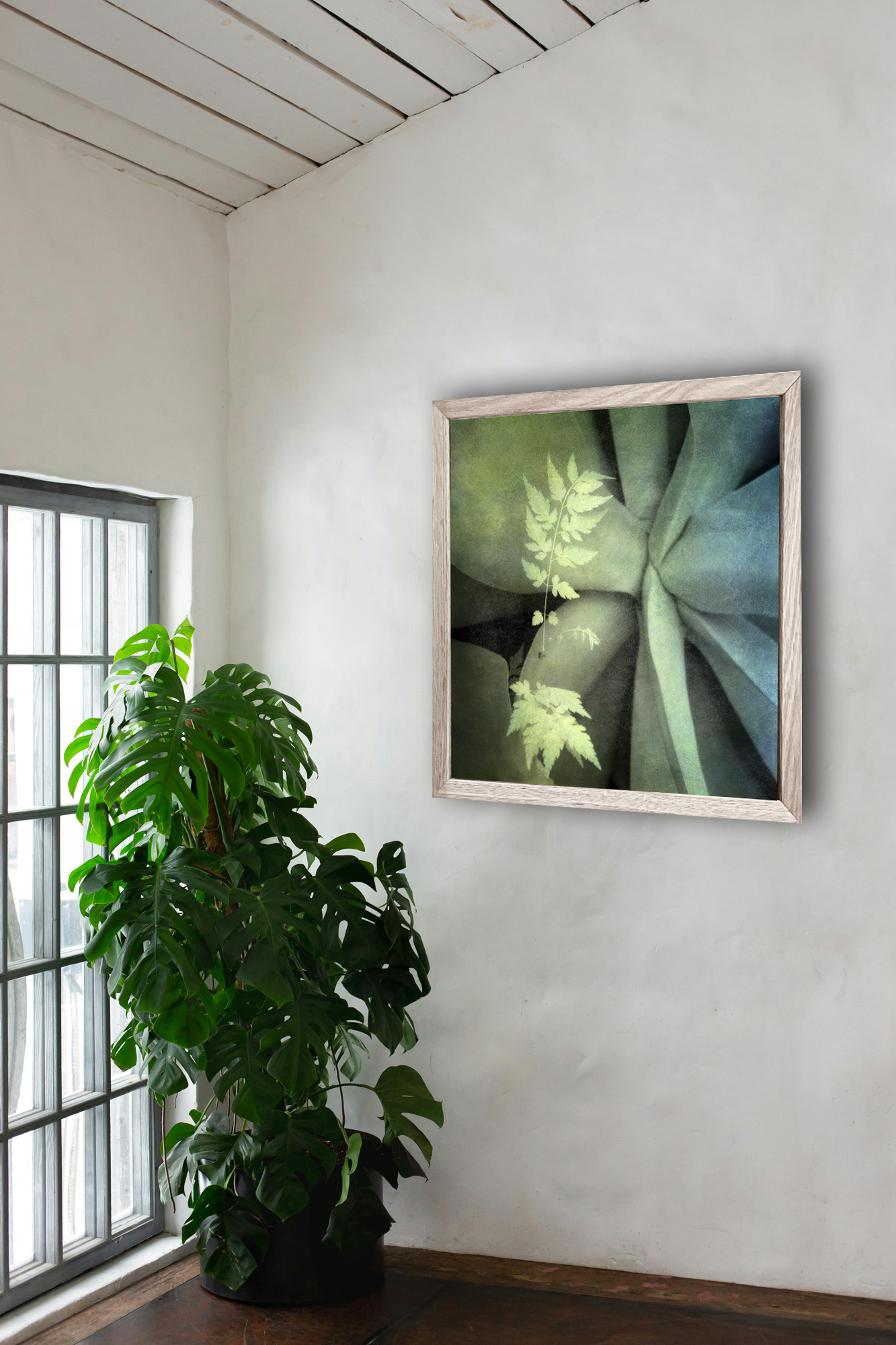 Diffusive Life In Situ 2