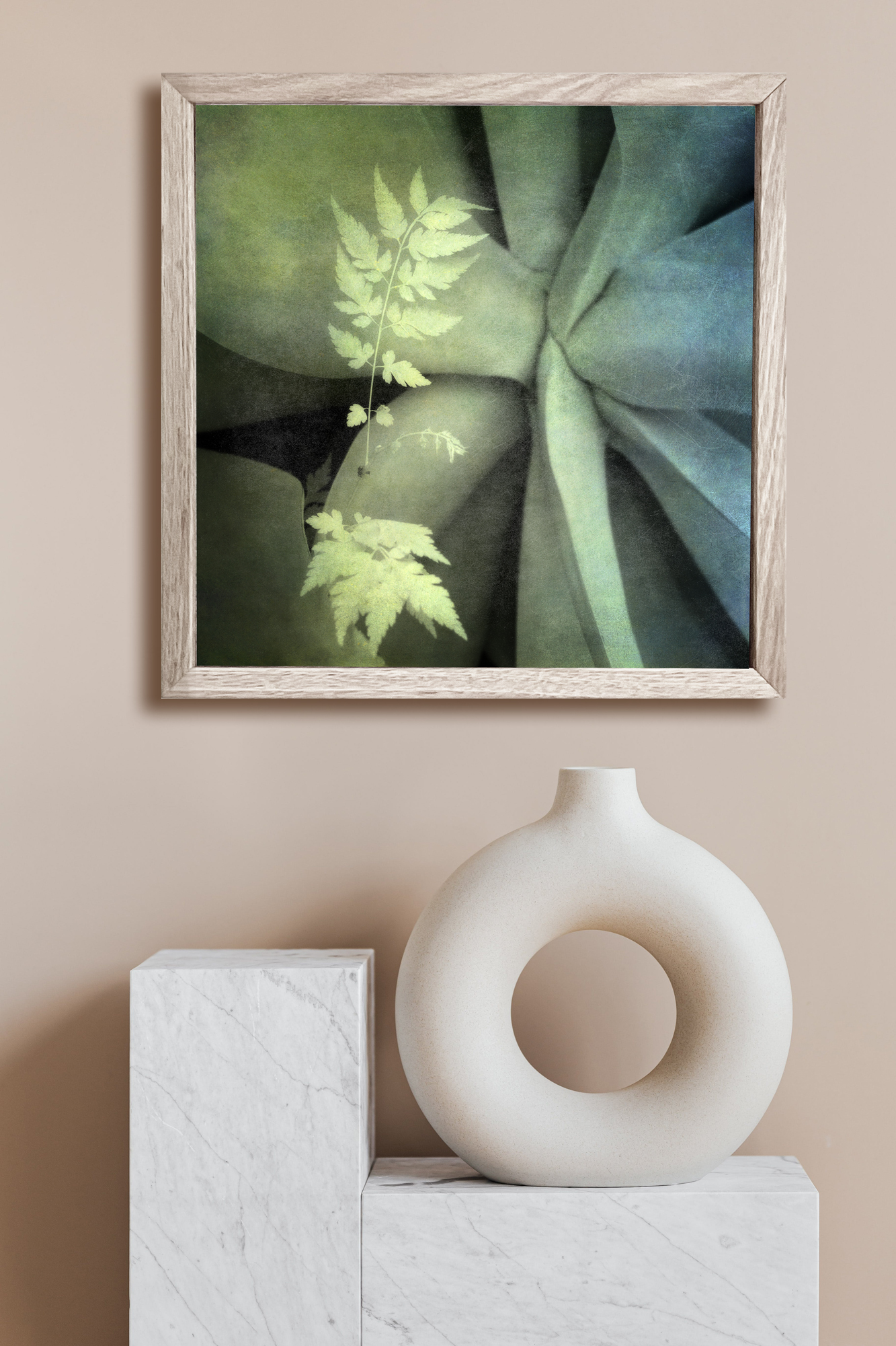 Diffusive Life In Situ 1