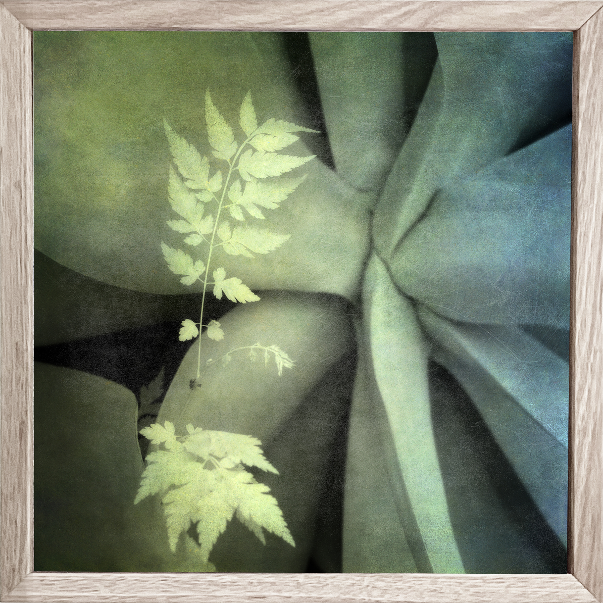 Diffusive Life Framed