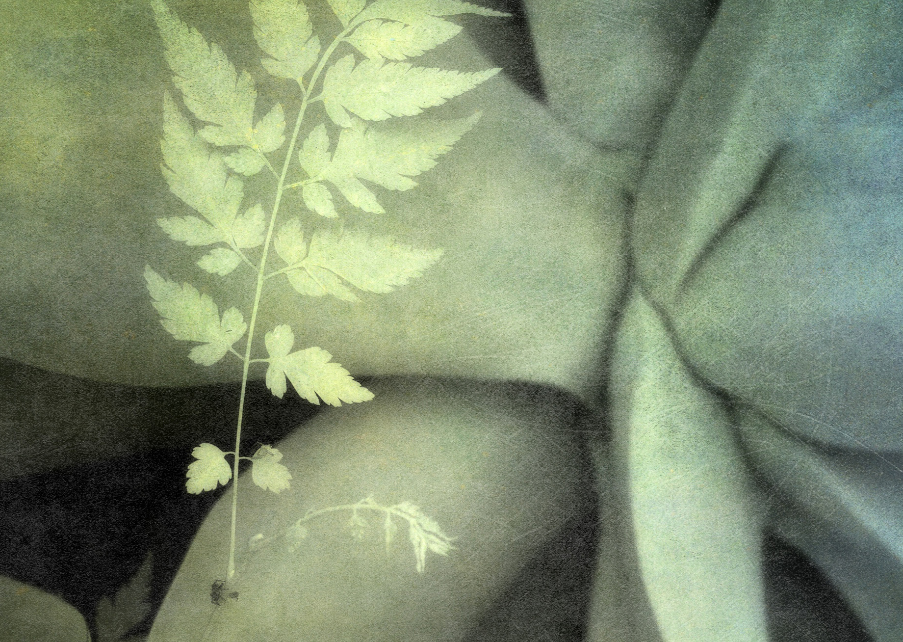 Diffusive Life Detail