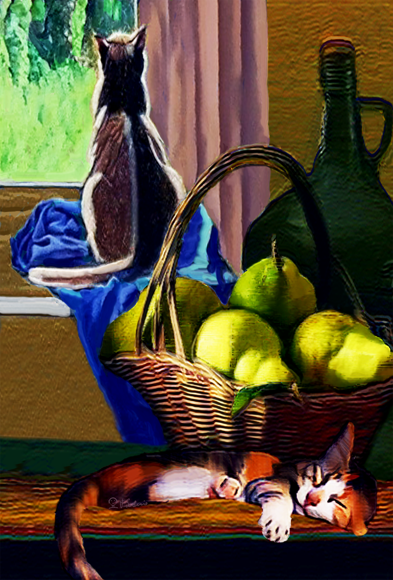 Street Urban Art – Collection number 218