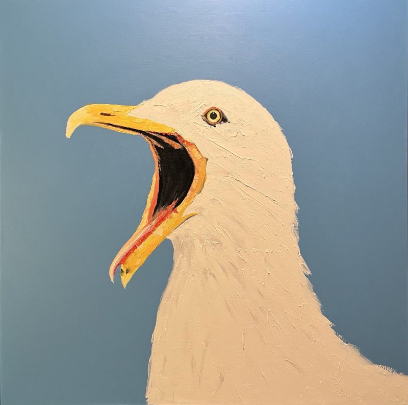 Coastal Sentinel – The Australian Seagull