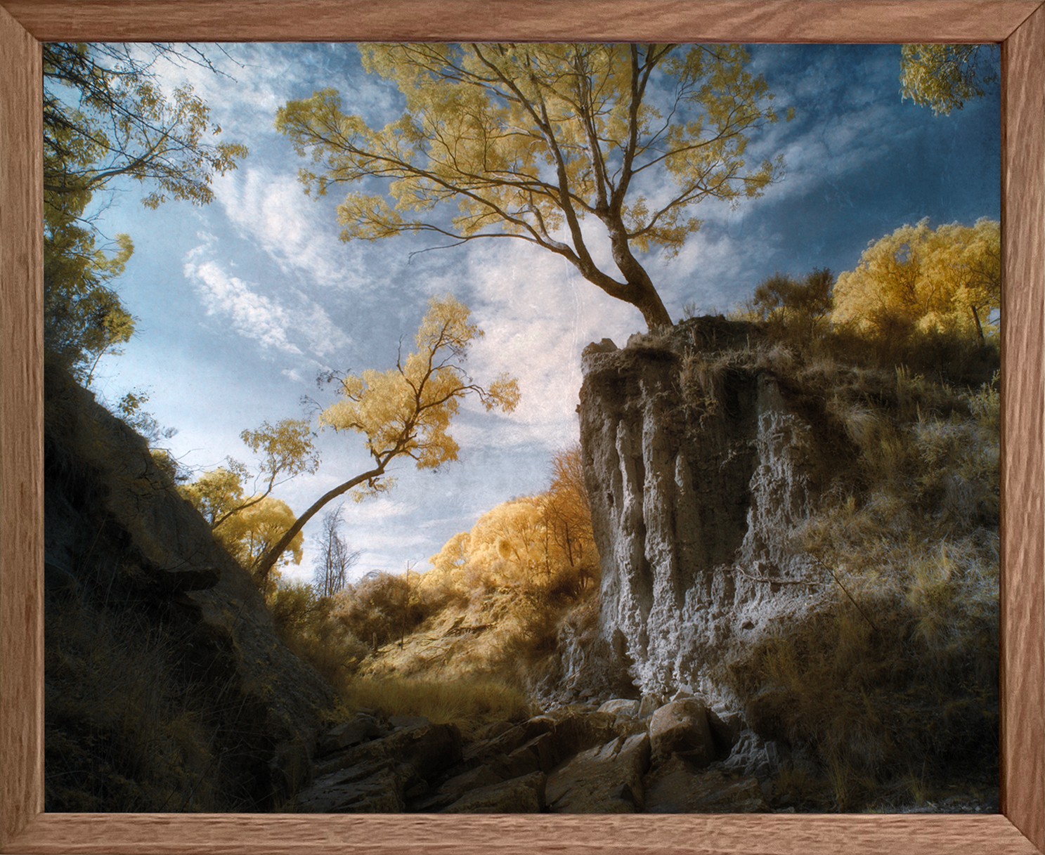 Dream Day Box Framed