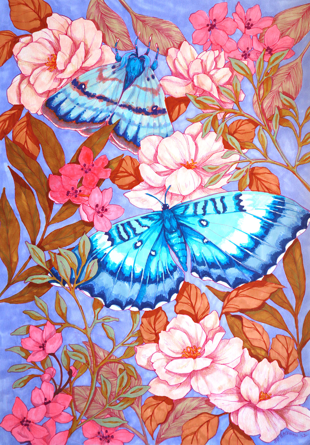 Pepa Blackman Butterfliy Moth Garden