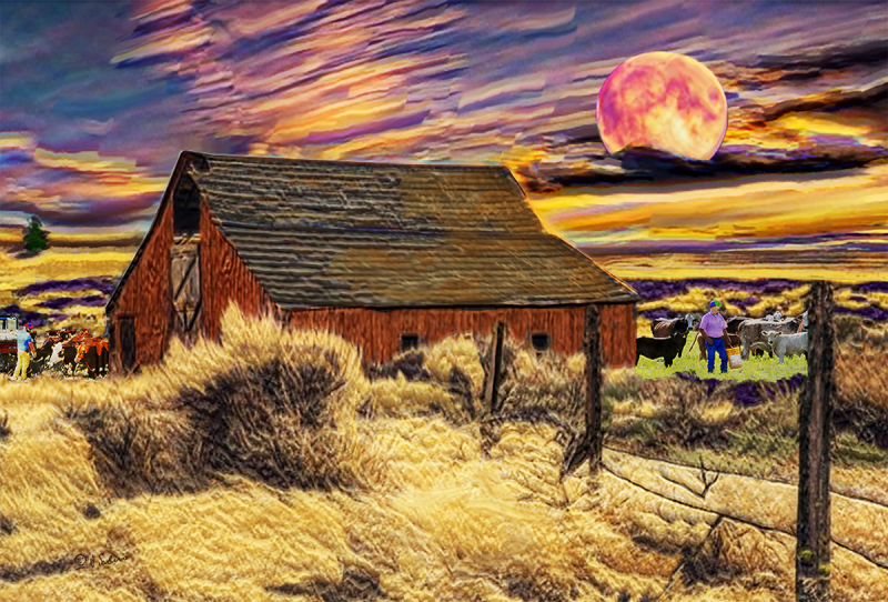 Street Urban Art  collection number 222