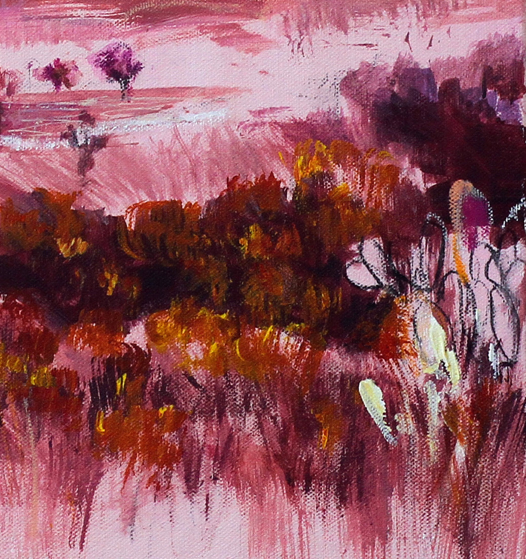 Bingara Lookout 2 Detail