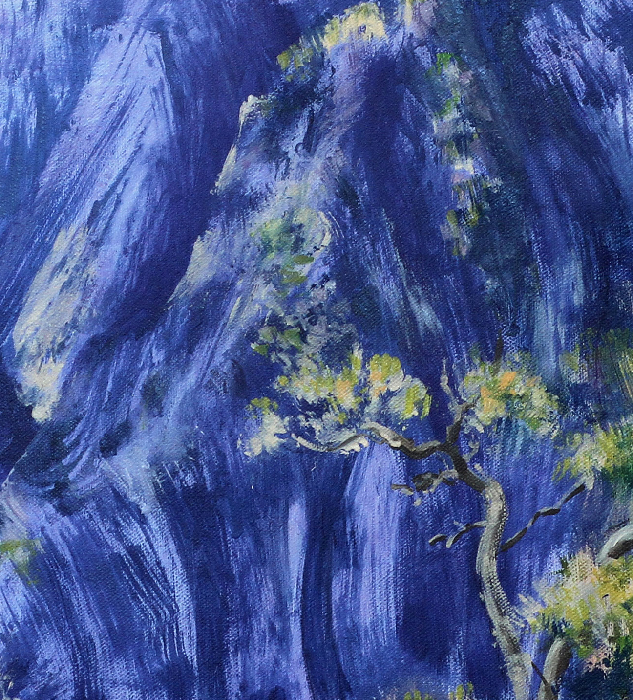 Oxley Gorge 2 Detail