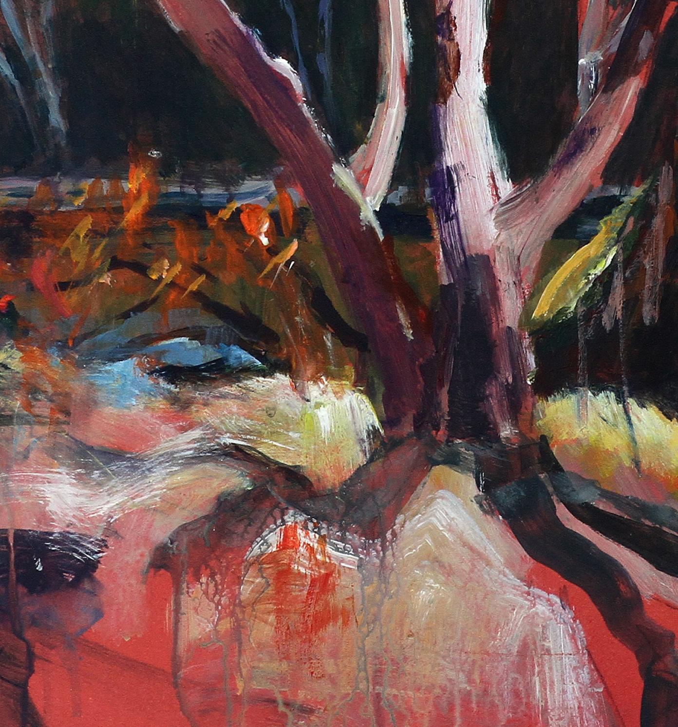 Gwydir River Gum Best Detail