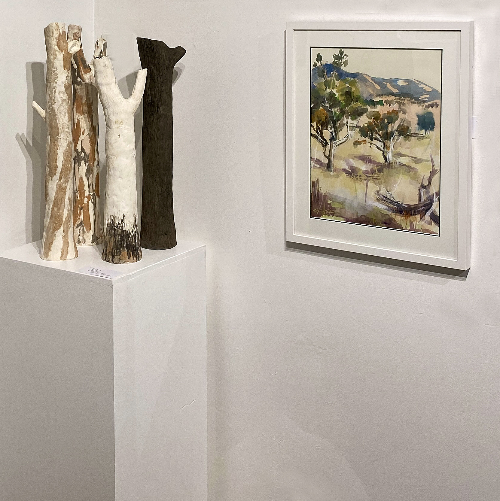 Road To Narrabri On Wall