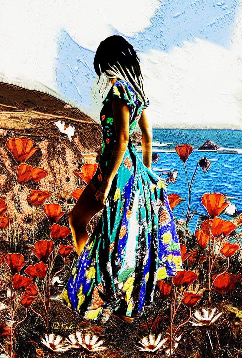 Street Urban Art  collection number 223