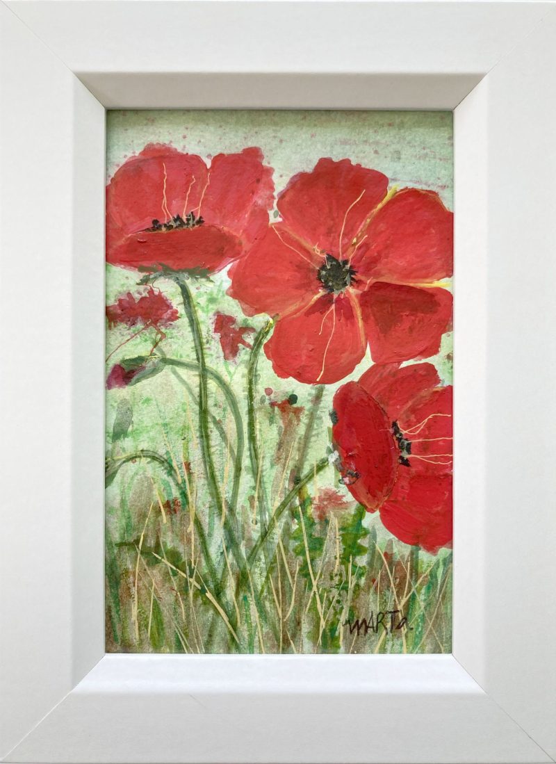 Red Poppies