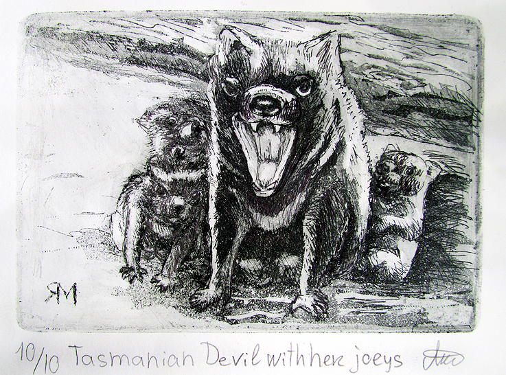 Tasmanian Devil with her joeys- Ltd Ed Print