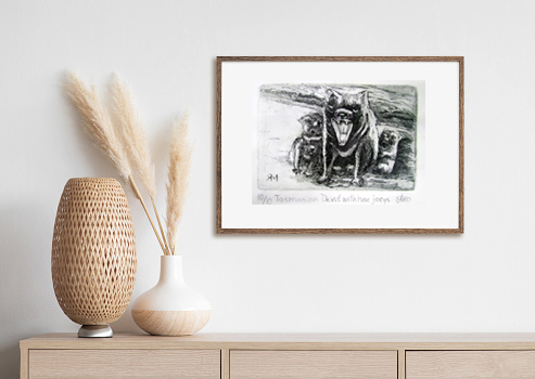 Tasmanian Devil Insitu