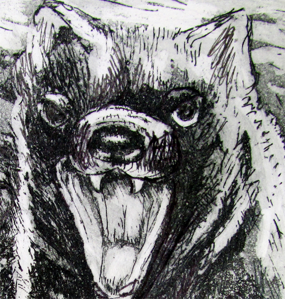 Tasmanian Devil Det1