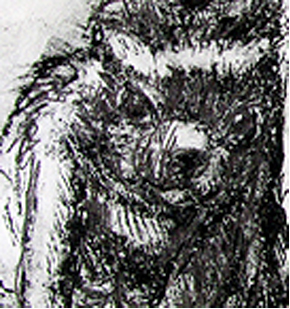 Tasmanian Devil Det2