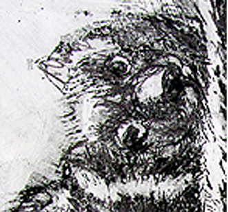 Tasmanian Devil Det3