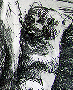 Tasmanian Devil Det4