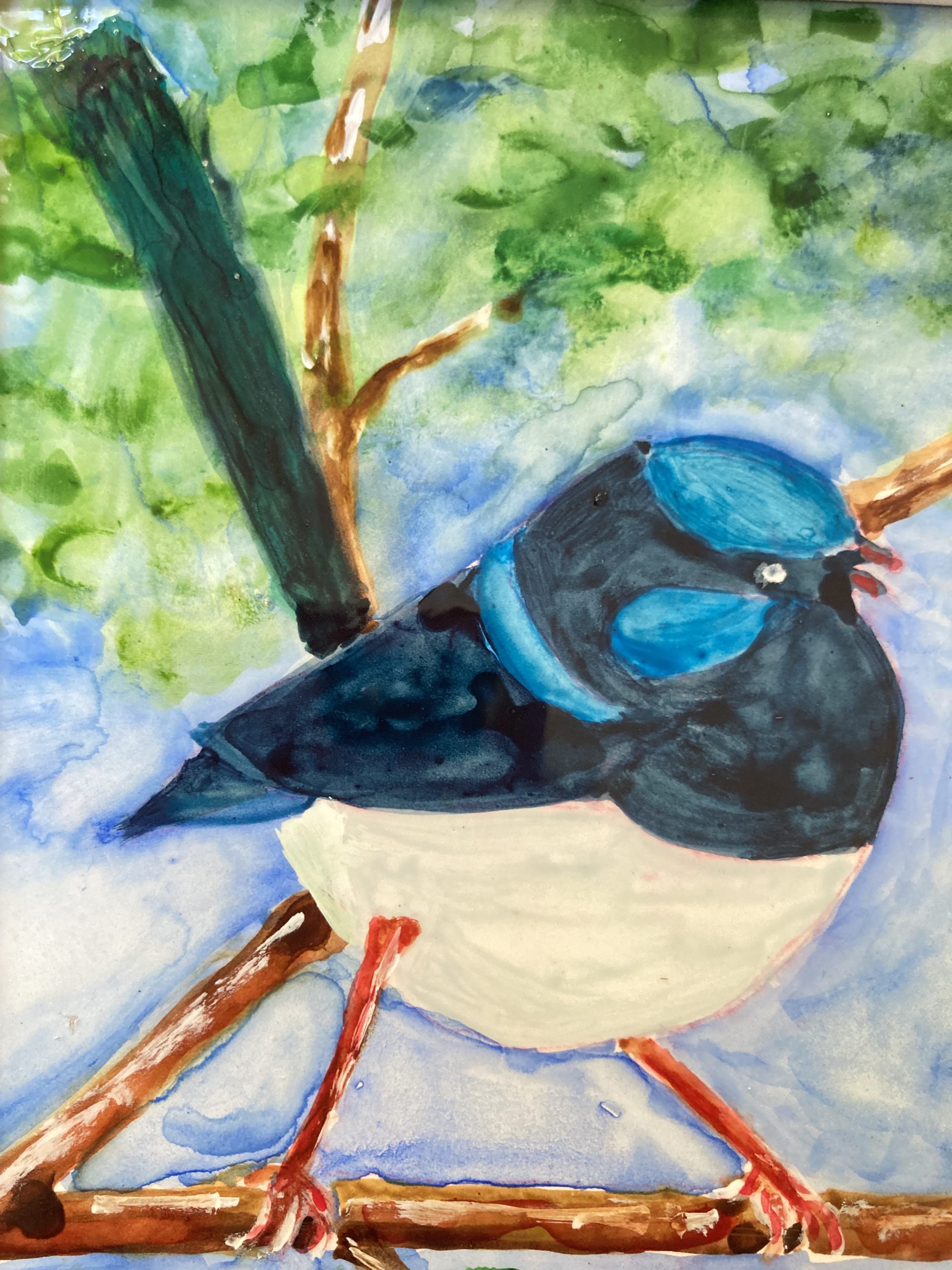 332 Blue Wren Detail
