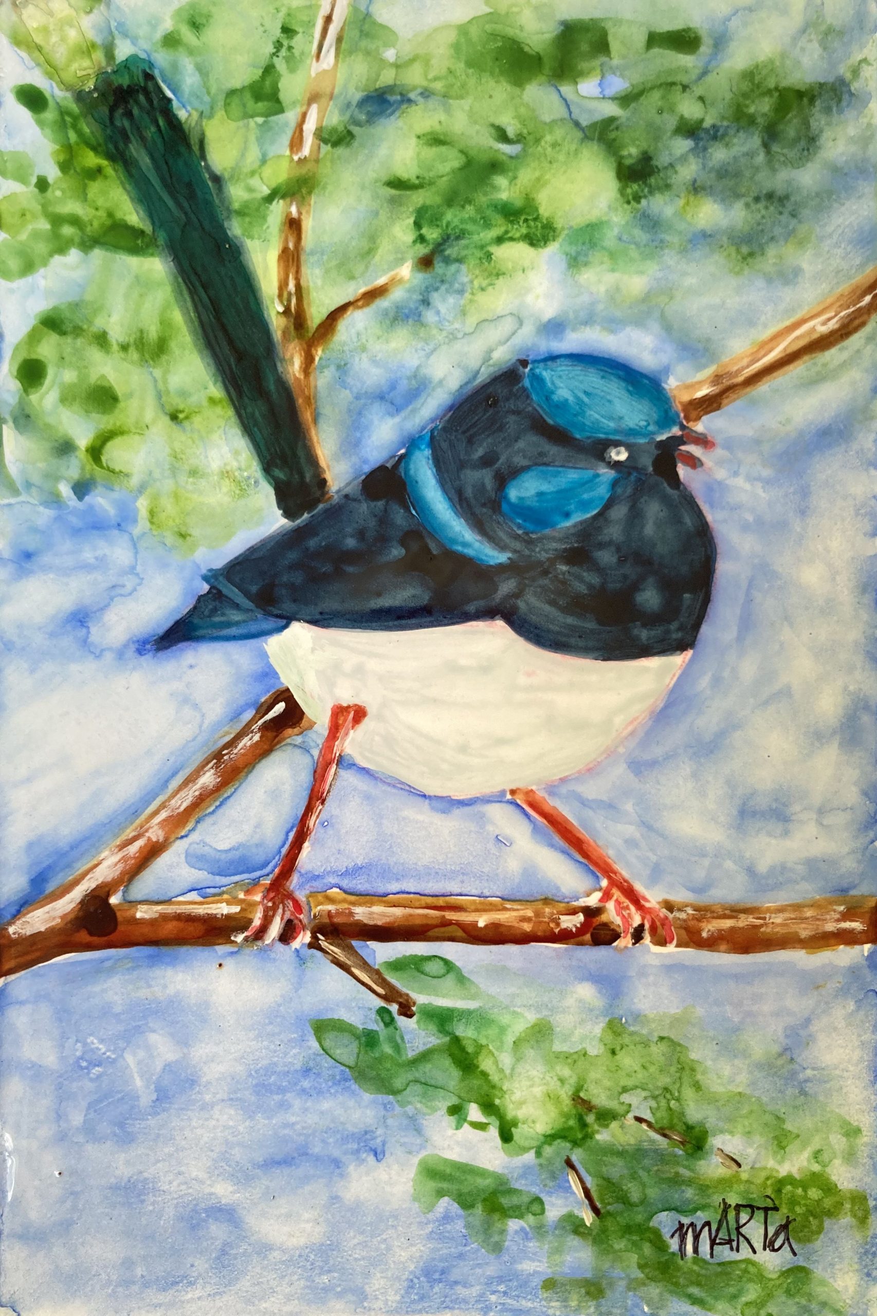332 Blue Wren