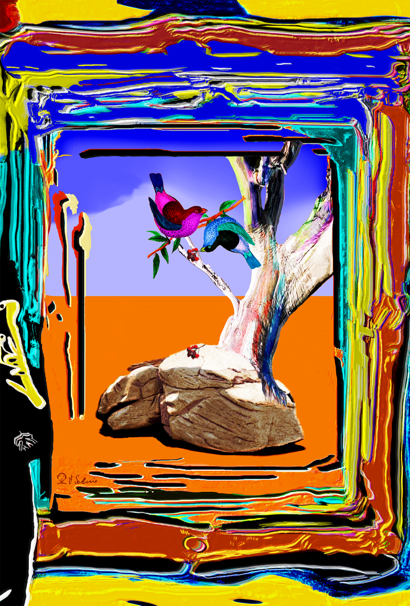 Street Urban Art  collection number 228