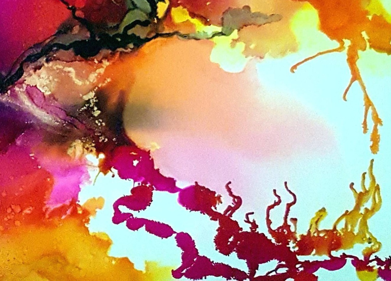 Tapscanner 27 03 2024 21꞉40 20240327 214022 655 66