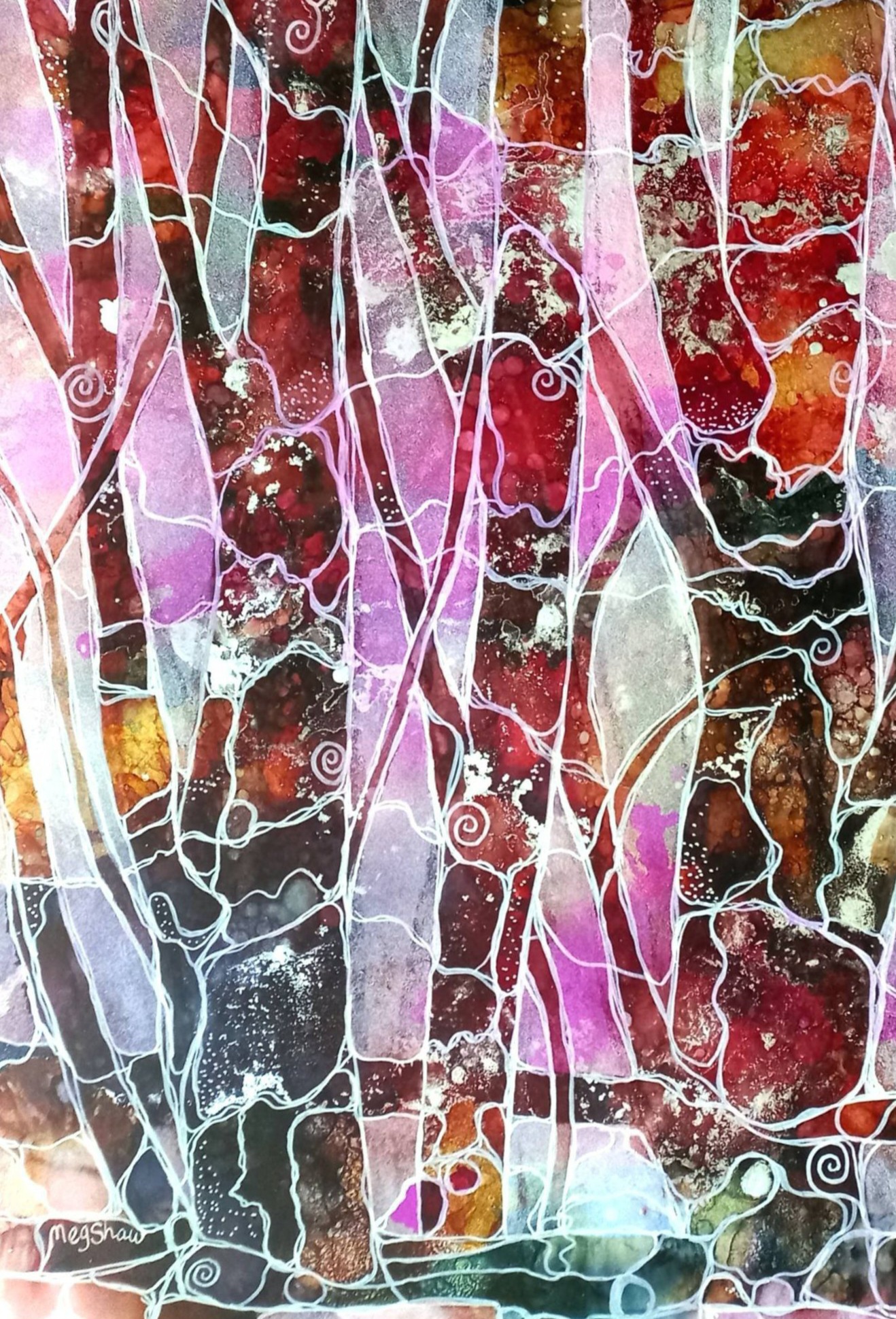 Tapscanner 29 03 2024 12꞉02 20240329 121329 871 63