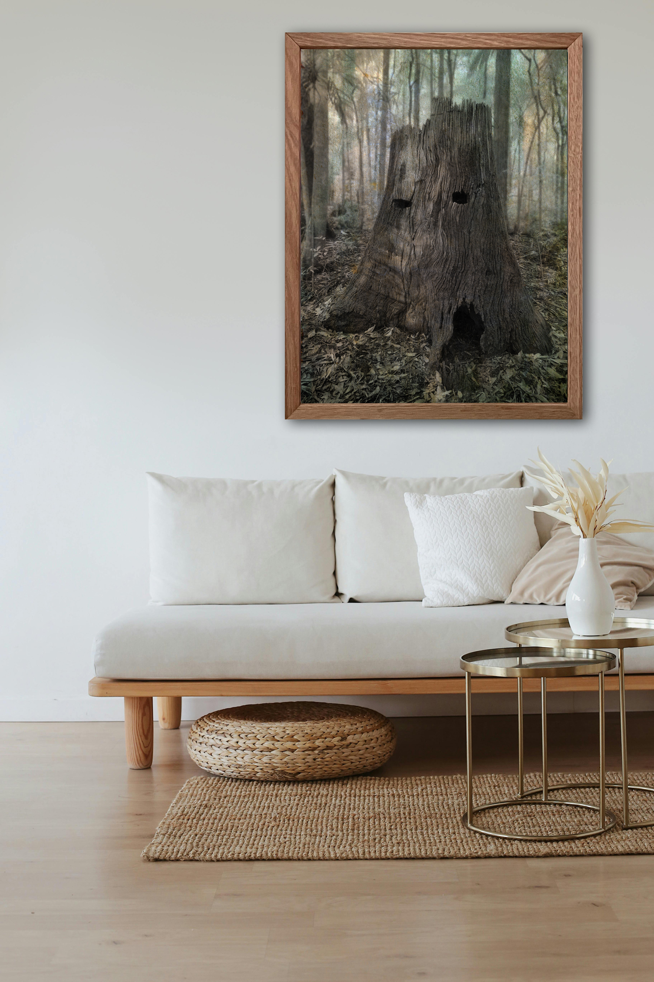 Old Man Of The Forest In Situ 2