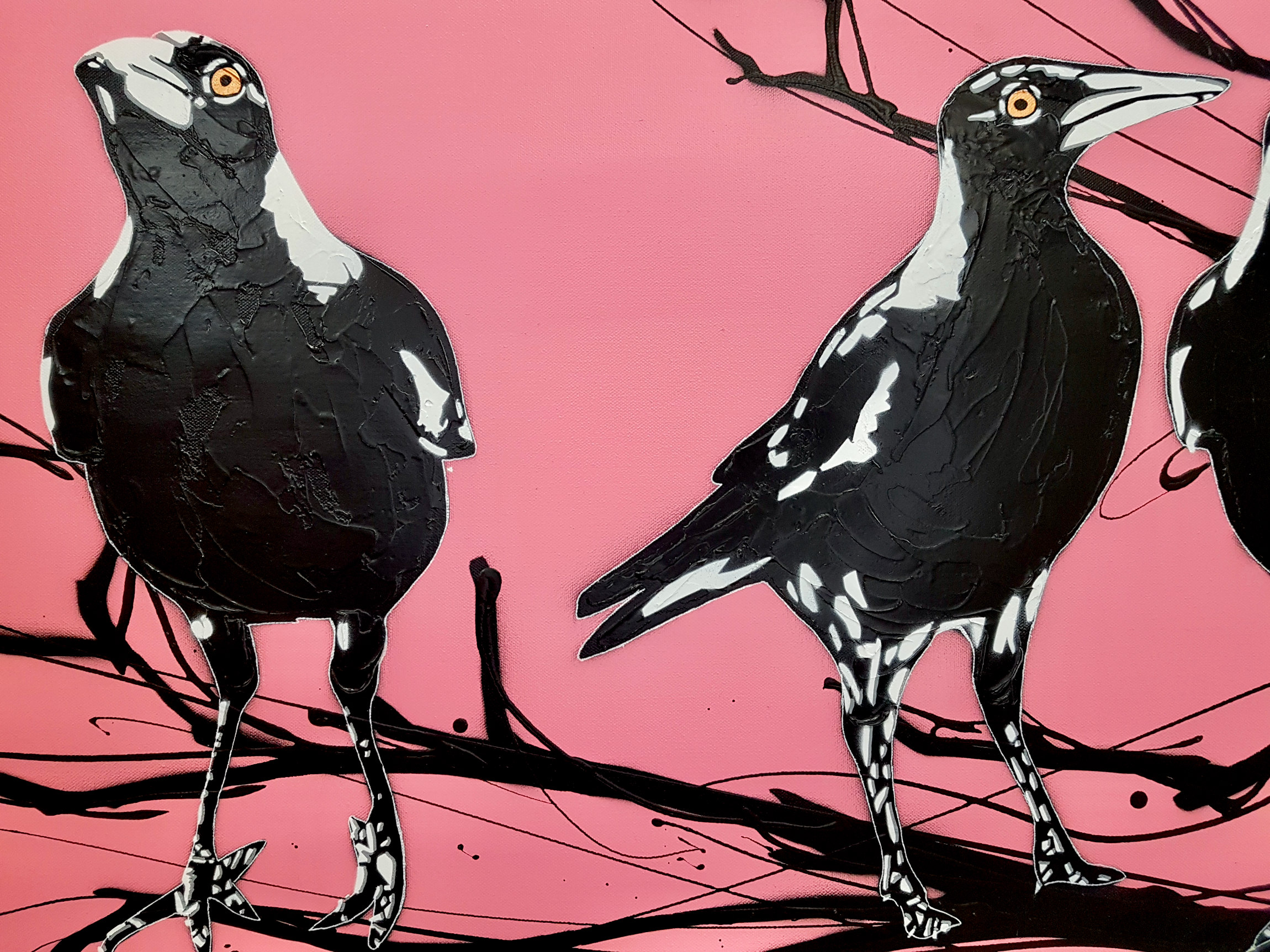 Magpie Street Birds Pink Pop Popart Deborah Lang Art Urban Canvas 5